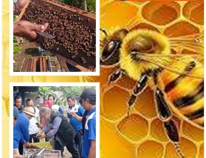 Sentuhan Penyuluh, Madu Jembrana Go Global