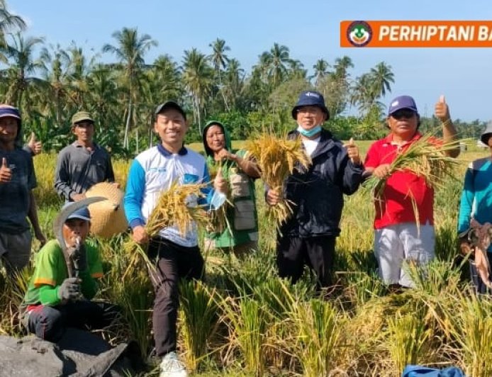 Geliat Penyuluh BPP Selemadeg Dongkrak Produktivitas Padi