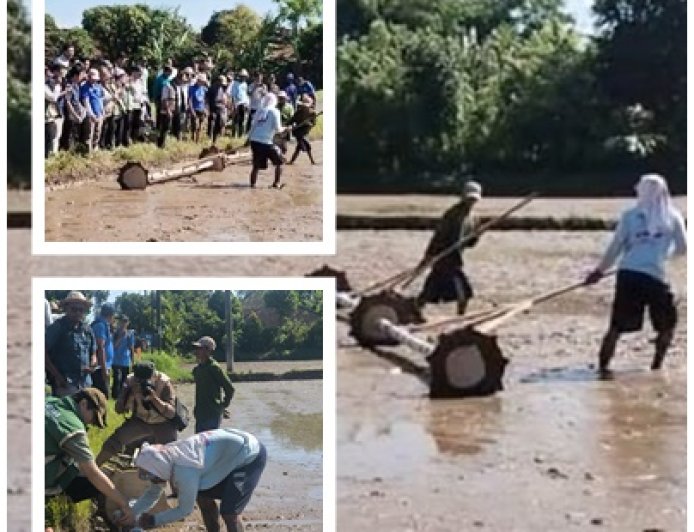 Aksi Nyata BBRMP Bali, Jembrana Incar 10 Ton/Ha