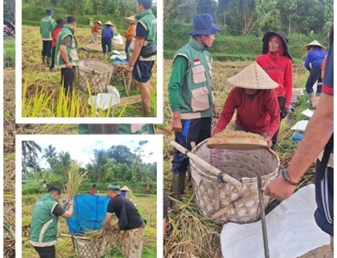 “PPL Payangan Kawal Produktivitas Padi”