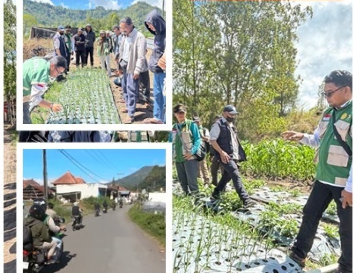 “Modal Nekat, Petani Kubu Belajar Bawang Putih ke Kintamani”