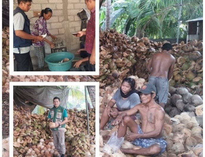 Kelapa Pacung Naik Kelas, VCO Jadi Mesin Ekonomi Desa