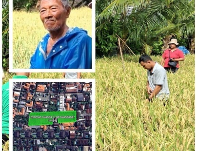 Di Antara Vila, Nyoman Suanda Tetap Menanam