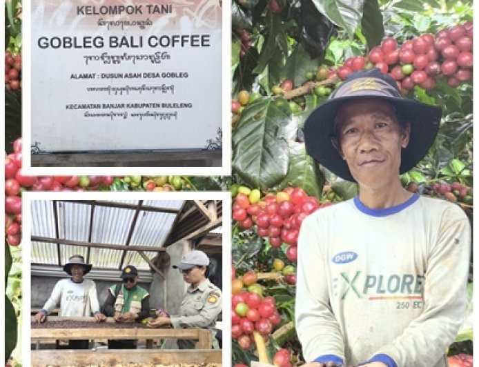 Gobleg Bali Coffee Perkuat Kopi Premium Berbasis Agrowisata