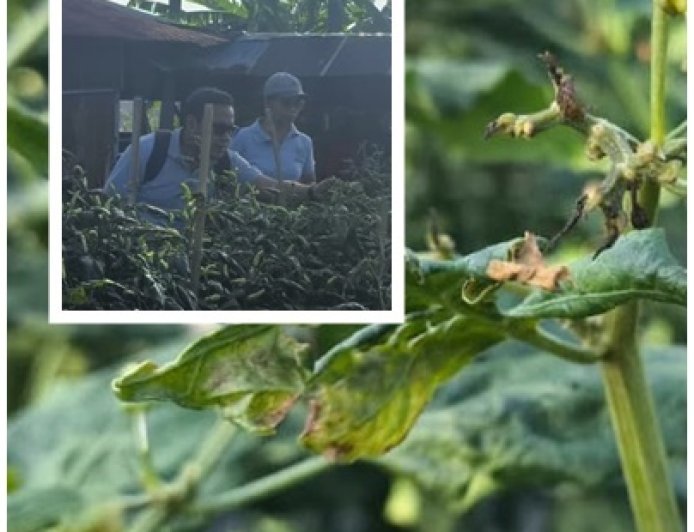 Petani Lapor, SIGAP TANI Langsung Meluncur