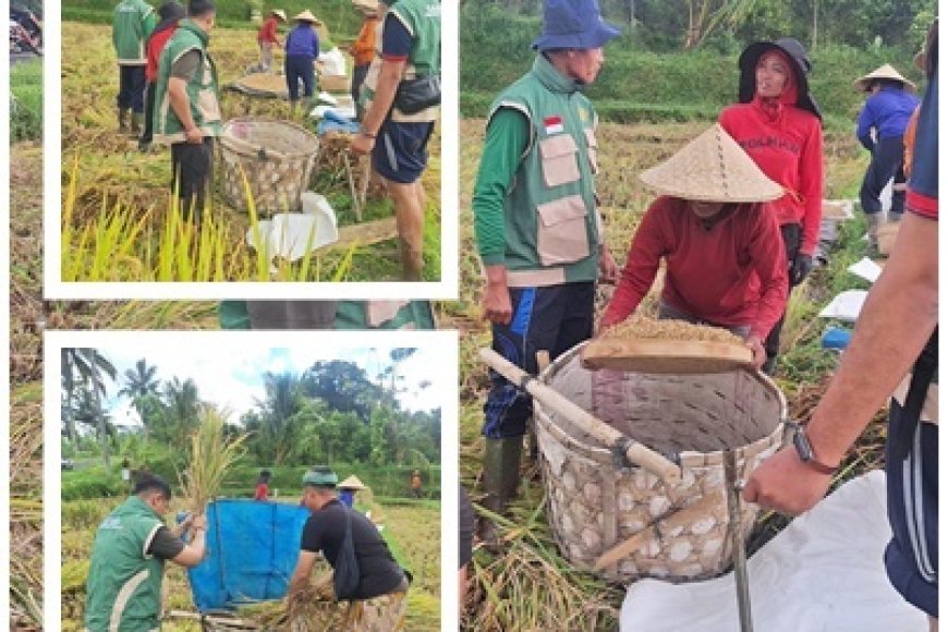 “PPL Payangan Kawal Produktivitas Padi”