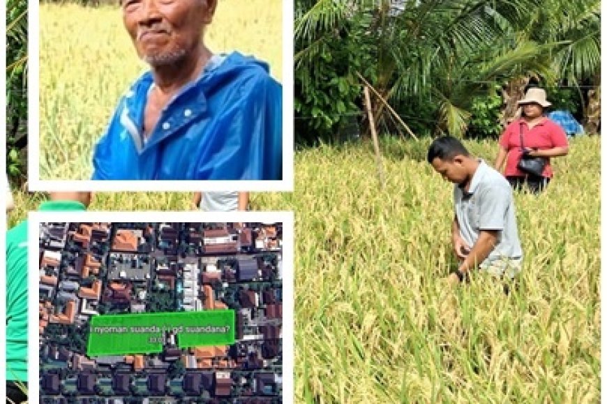 Di Antara Vila, Nyoman Suanda Tetap Menanam