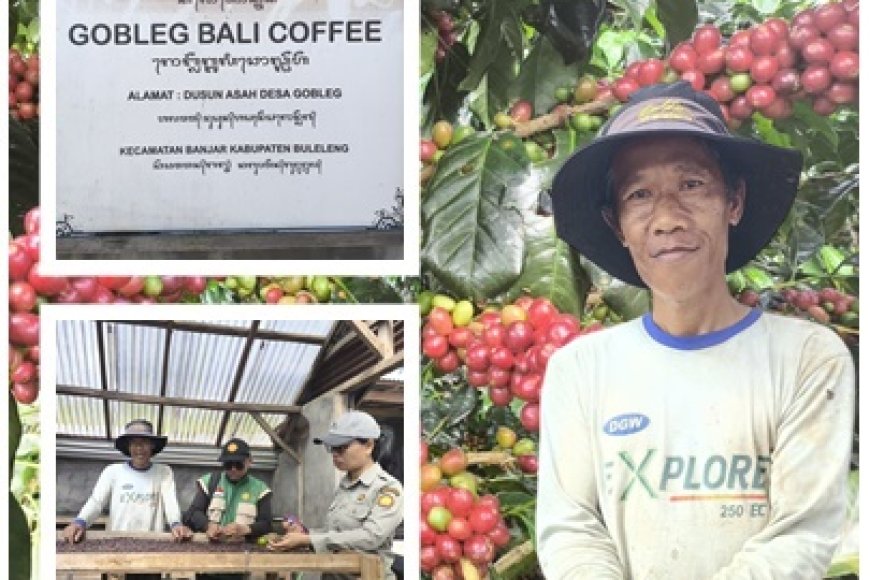 Gobleg Bali Coffee Perkuat Kopi Premium Berbasis Agrowisata