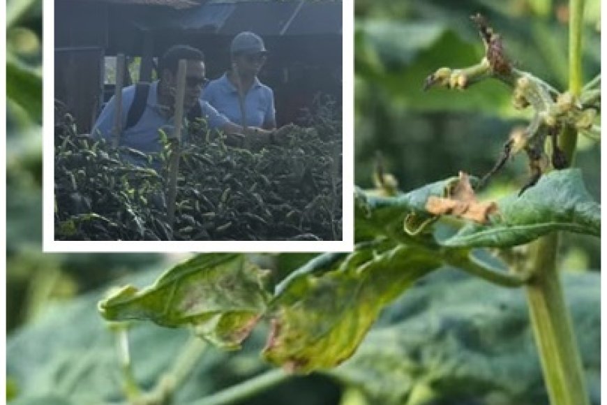 Petani Lapor, SIGAP TANI Langsung Meluncur