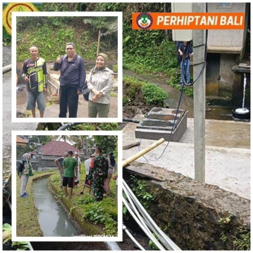 Kejar Air, Kejar Panen! IRPOM Jadi Andalan Empat Subak di Temukus