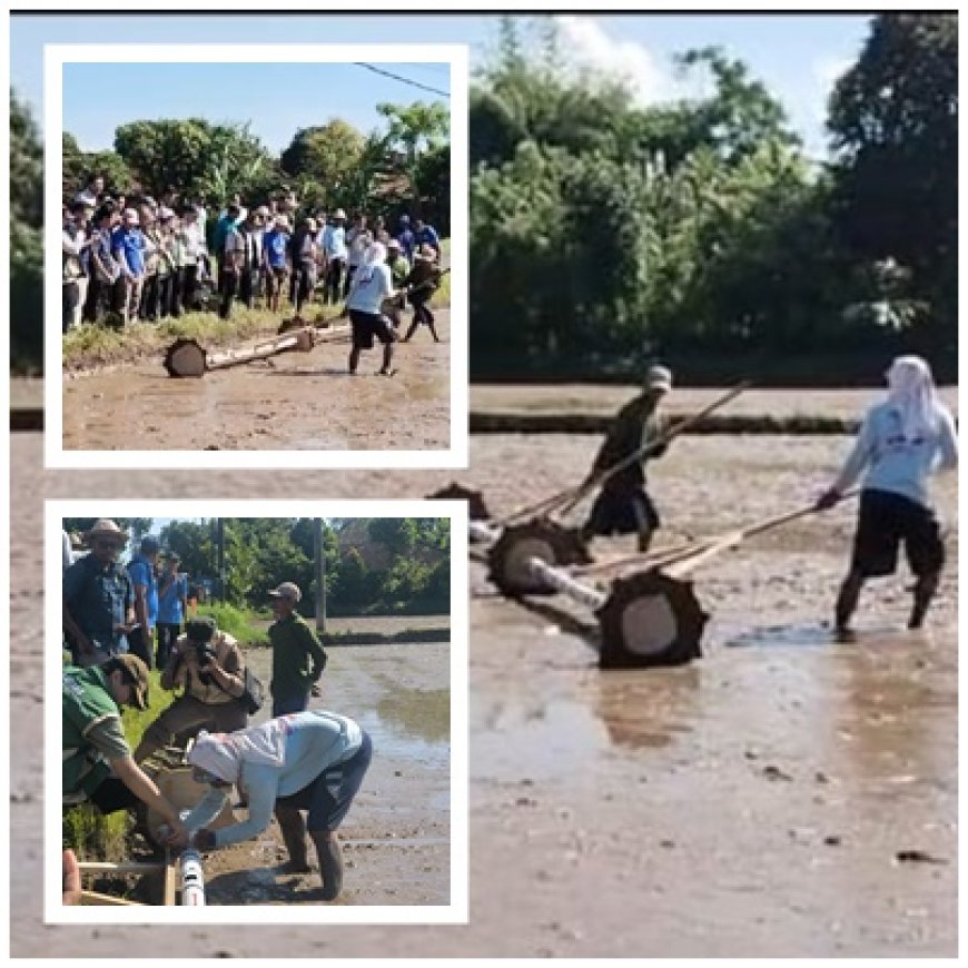 Aksi Nyata BBRMP Bali, Jembrana Incar 10 Ton/Ha