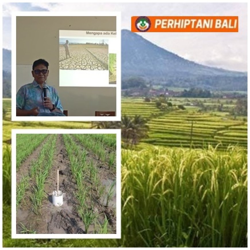 PERHIPTANI Bali Pacu AWD, Petani Batukaru Bidik Carbon Trading