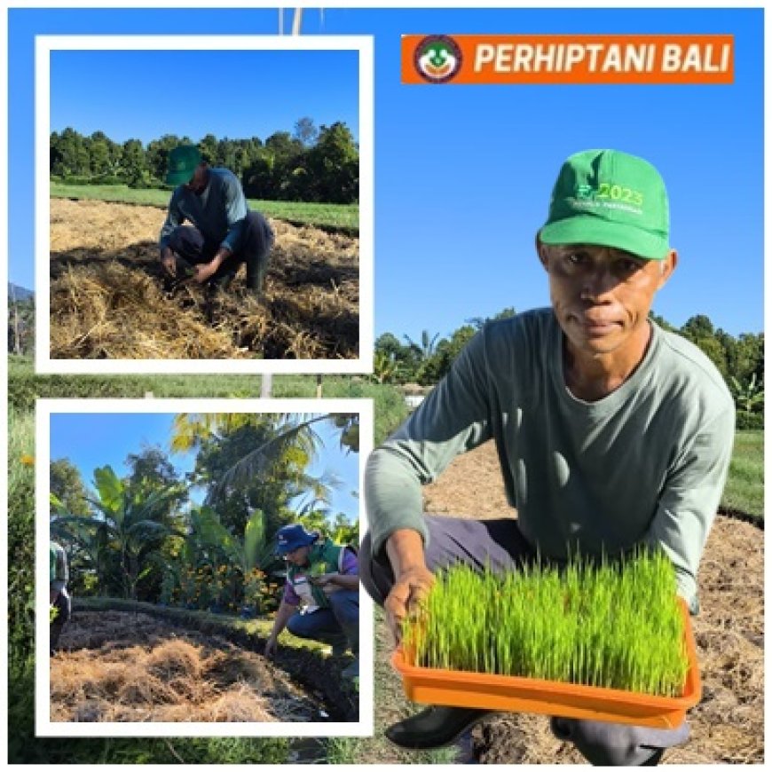 Made Sedaka: “Pertanian sekarang harus lebih cerdas dan efisien”