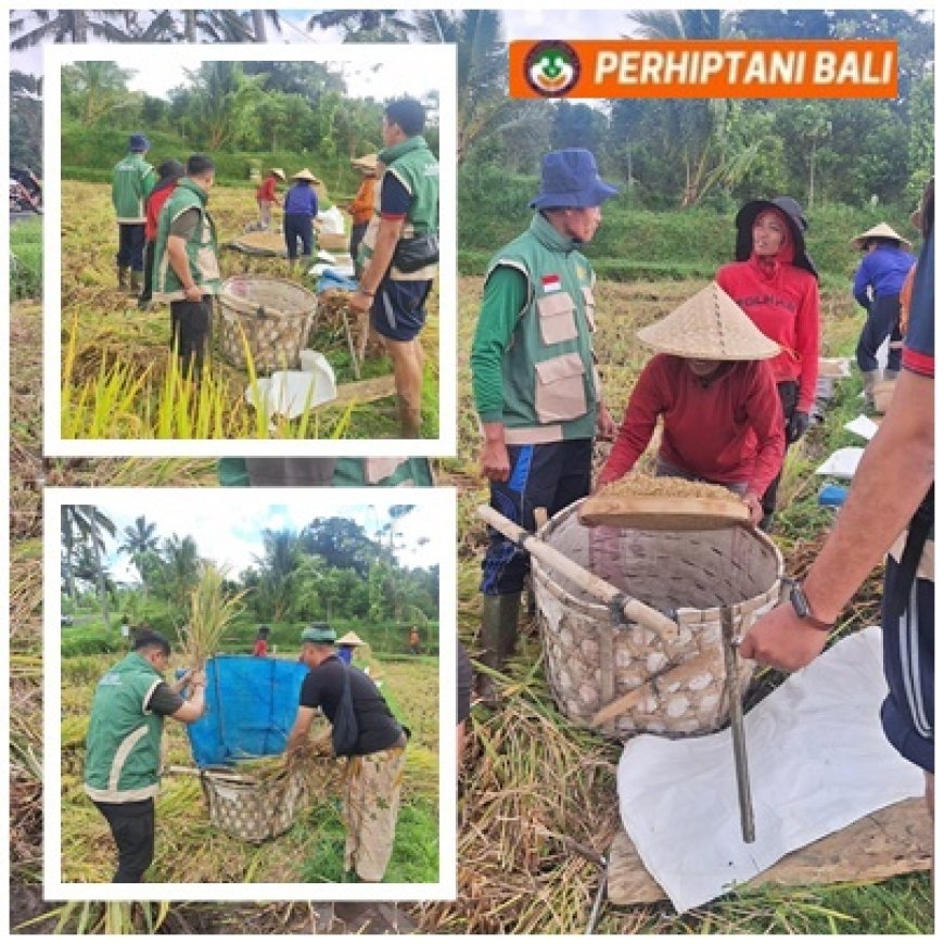 “PPL Payangan Kawal Produktivitas Padi”