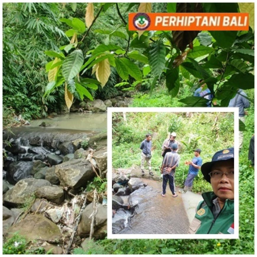 Dam Parit Ditunggu, Petani Bidik Tiga Panen