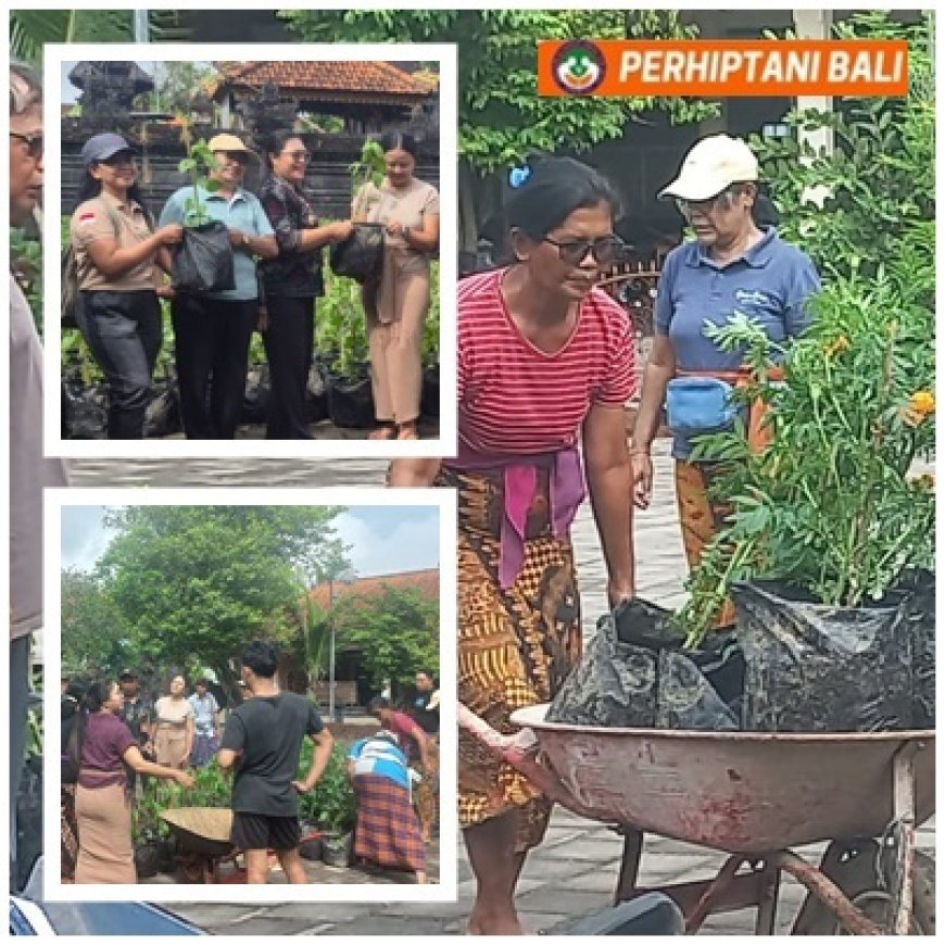 Penyuluh Kawal PKK, Pekarangan Jadi Benteng Inflasi