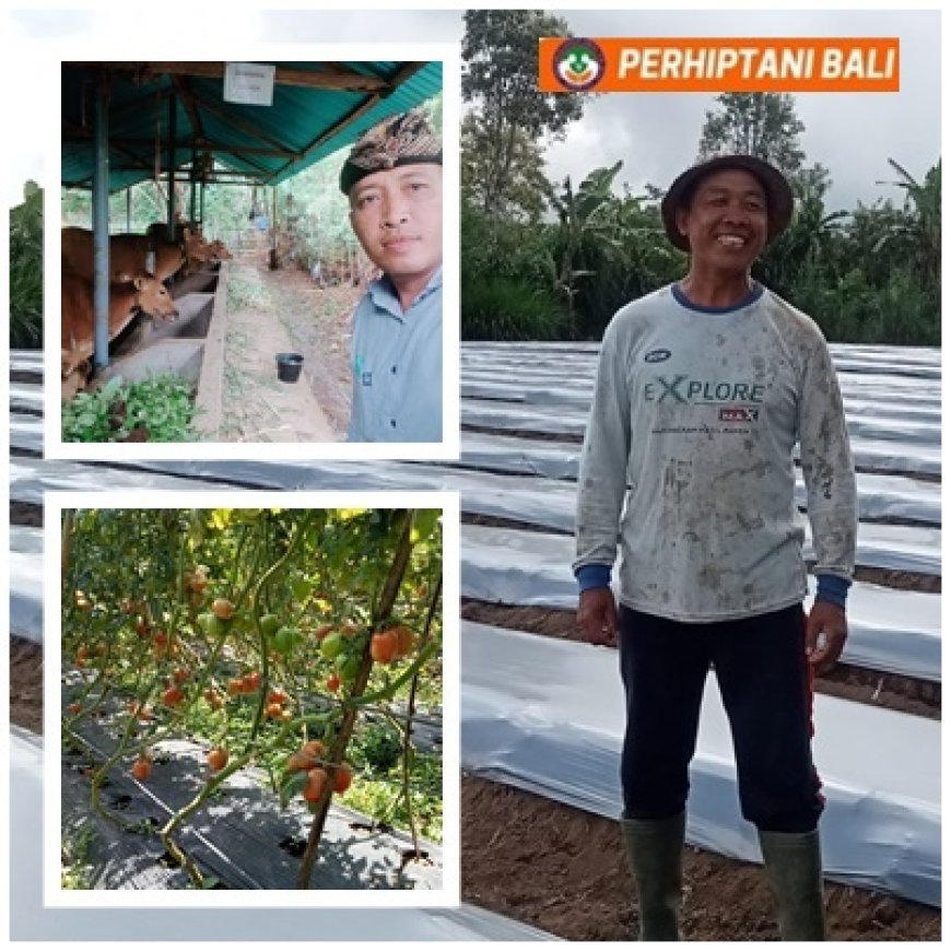Jurus Lembu Lestari Dongkrak Produktivitas