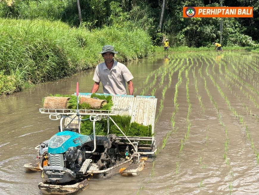 Penyuluh Pacu Modernisasi, Petani Babakan Tua Makin Ngebut