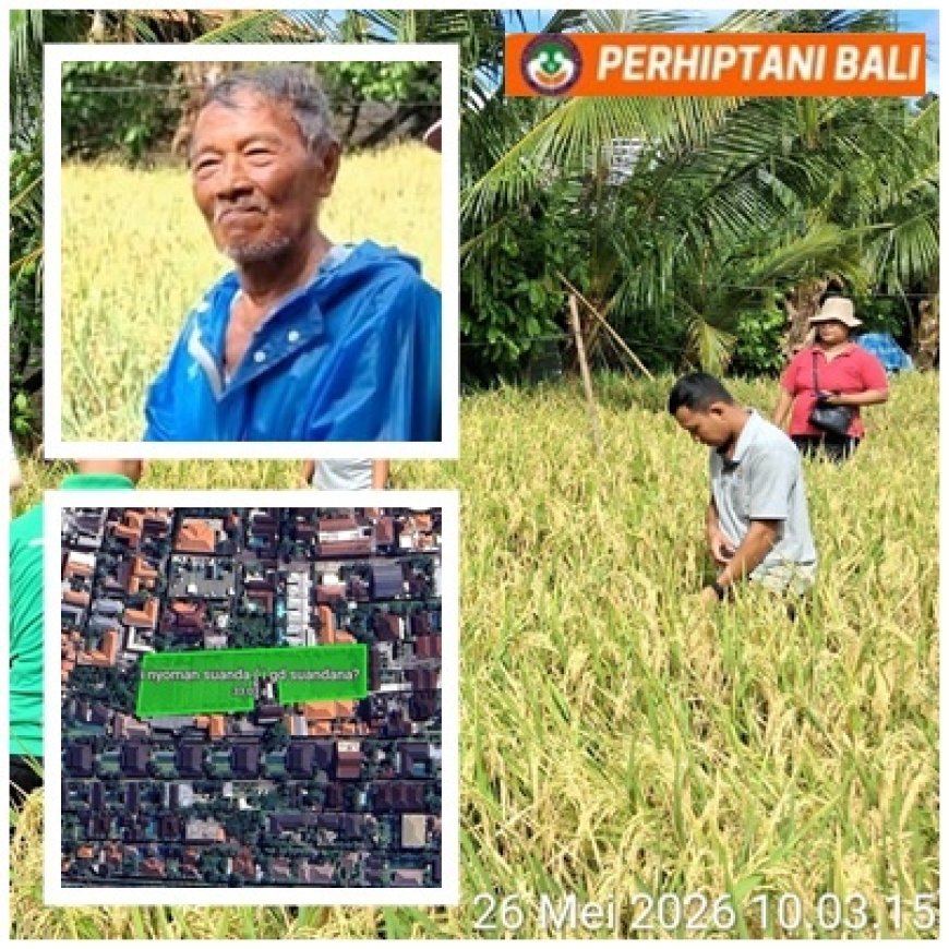 Di Antara Vila, Nyoman Suanda Tetap Menanam