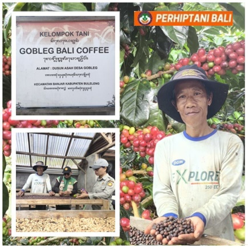 Gobleg Bali Coffee Perkuat Kopi Premium Berbasis Agrowisata
