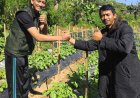 YAA Bali Satukan Energi Petani Muda