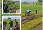 Penyuluh Semai Embrio Smart Farming