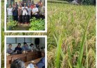 PERHIPTANI Bali dan Yayasan Sashi Cetak Sejarah, Pekaseh Catur Angga Batukaru Berbadan Hukum
