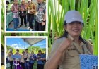 Berburu Inovasi, Penyuluh Denpasar Kepincut Tabela Bawang Merah