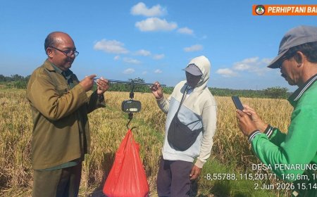 Capai 6,56 Ton, Sawah Penarungan Tetap Produktif