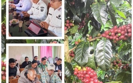 BPP Kintamani Barat Bentengi Indikasi Geografis Kopi Kintamani.