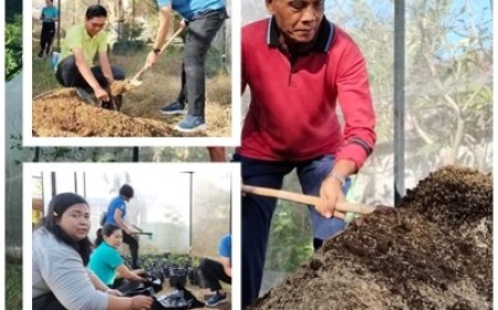Jumat Ceria: Tanam Pangan Lokal, Tebar Semangat Ketahanan Pangan
