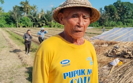Melawan Usia dan Cuaca, Pekak Ketut Jaga Denyut Pangan Bali