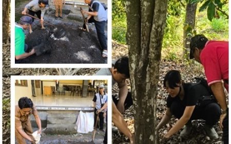 Trichokompos, Senjata Baru Lawan Jamur Akar Putih