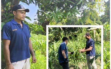 Sentuhan Penyuluh Menjaga Asa Petani Muda di Kayuputih