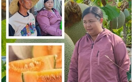 Gung Sri: Brix Jadi Tiket Hortikultura Masuk Pasar Premium Bali