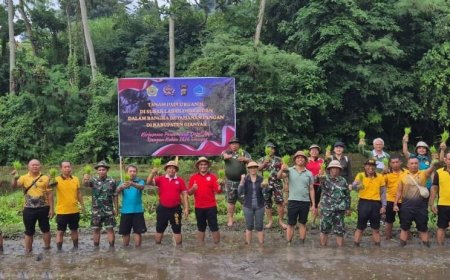 Go Organik Bergema dari Sidan