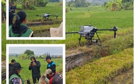 Penyuluh Semai Embrio Smart Farming