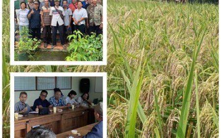 PERHIPTANI Bali dan Yayasan Sashi Cetak Sejarah, Pekaseh Catur Angga Batukaru Berbadan Hukum