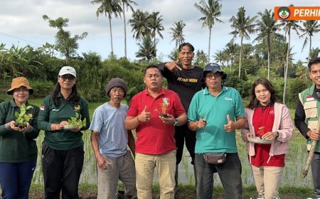 Penyuluh Jadi Motor, Poktan Sami Asih Tanam Cabe Organik
