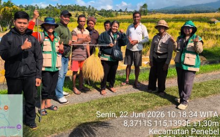 Sehari Usai Dipaparkan di Penas KTNA, Panen Jatiluwih Naik 0,35 Ton