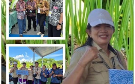Berburu Inovasi, Penyuluh Denpasar Kepincut Tabela Bawang Merah