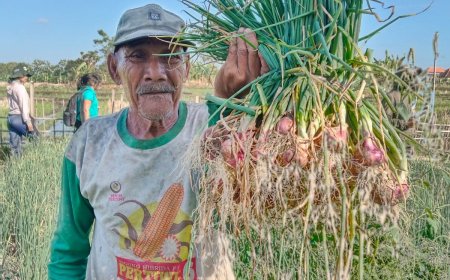 Puja: Tua Bukan Alasan Menolak Inovasi