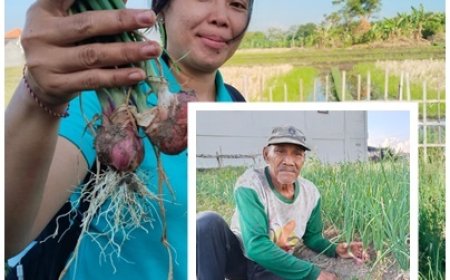 Rully, Jembatan Inovasi bagi Petani Usia Senja