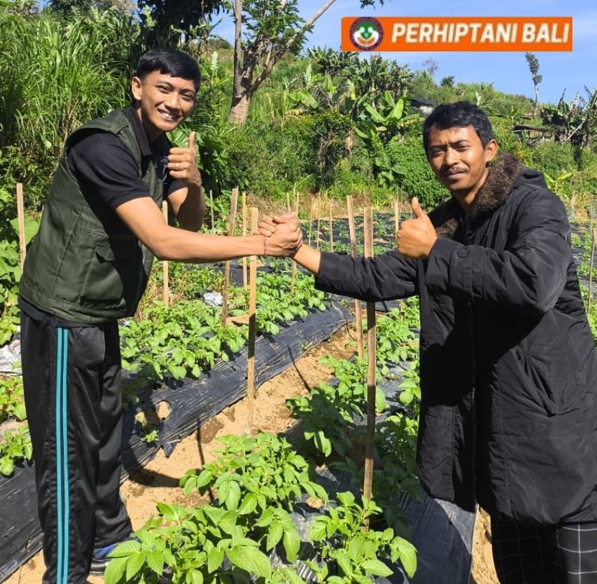 YAA Bali Satukan Energi Petani Muda