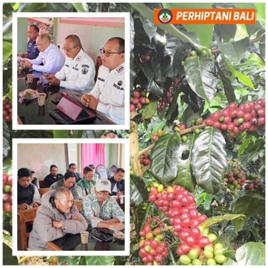 BPP Kintamani Barat Bentengi Indikasi Geografis Kopi Kintamani.