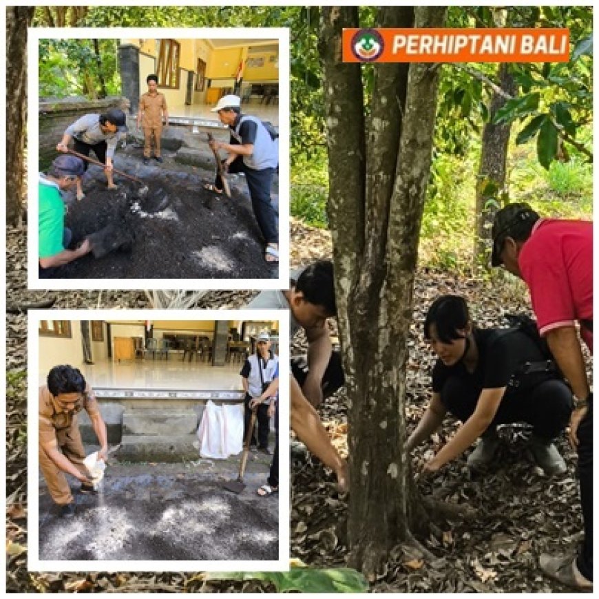 Trichokompos, Senjata Baru Lawan Jamur Akar Putih