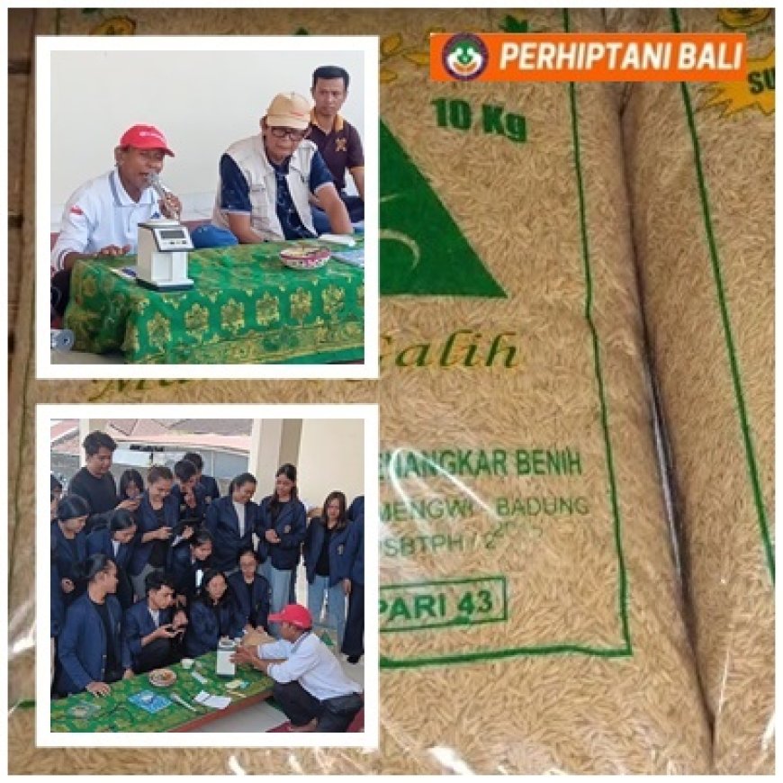 Berguru ke Penangkar, Mahasiswa Unud Dalami Benih Padi Bersertifikat