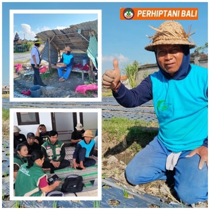 Dua Dekade Jadi Pekaseh, Made Pagiartha Menjaga Napas Renon