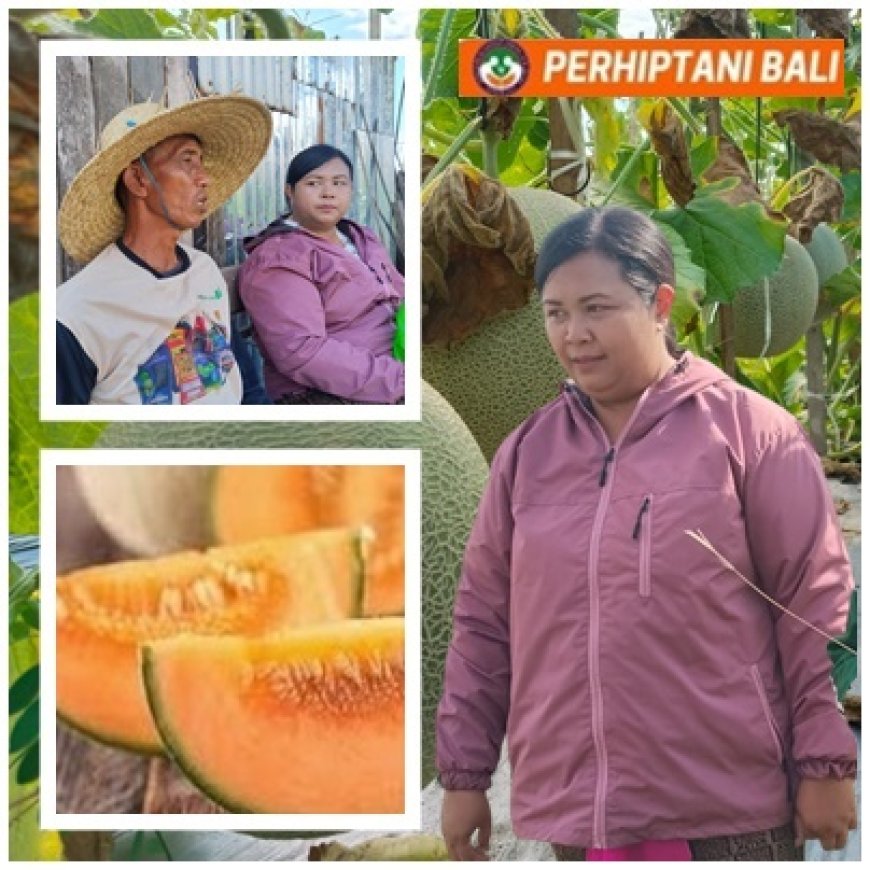 Gung Sri: Brix Jadi Tiket Hortikultura Masuk Pasar Premium Bali