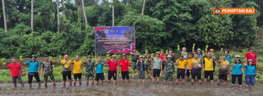 Go Organik Bergema dari Sidan